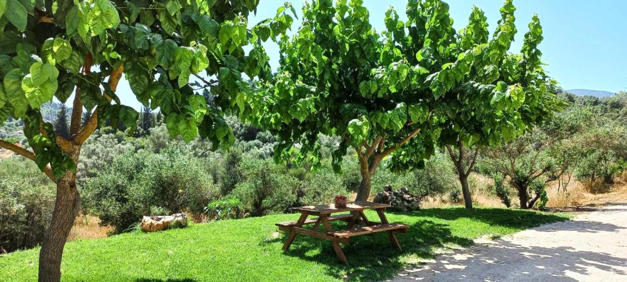 Lily Home_Lefkada ~ Private Country House Kondaraina Экстерьер фото