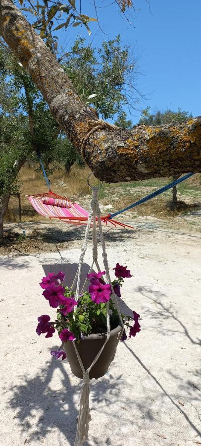 Lily Home_Lefkada ~ Private Country House Kondaraina Экстерьер фото
