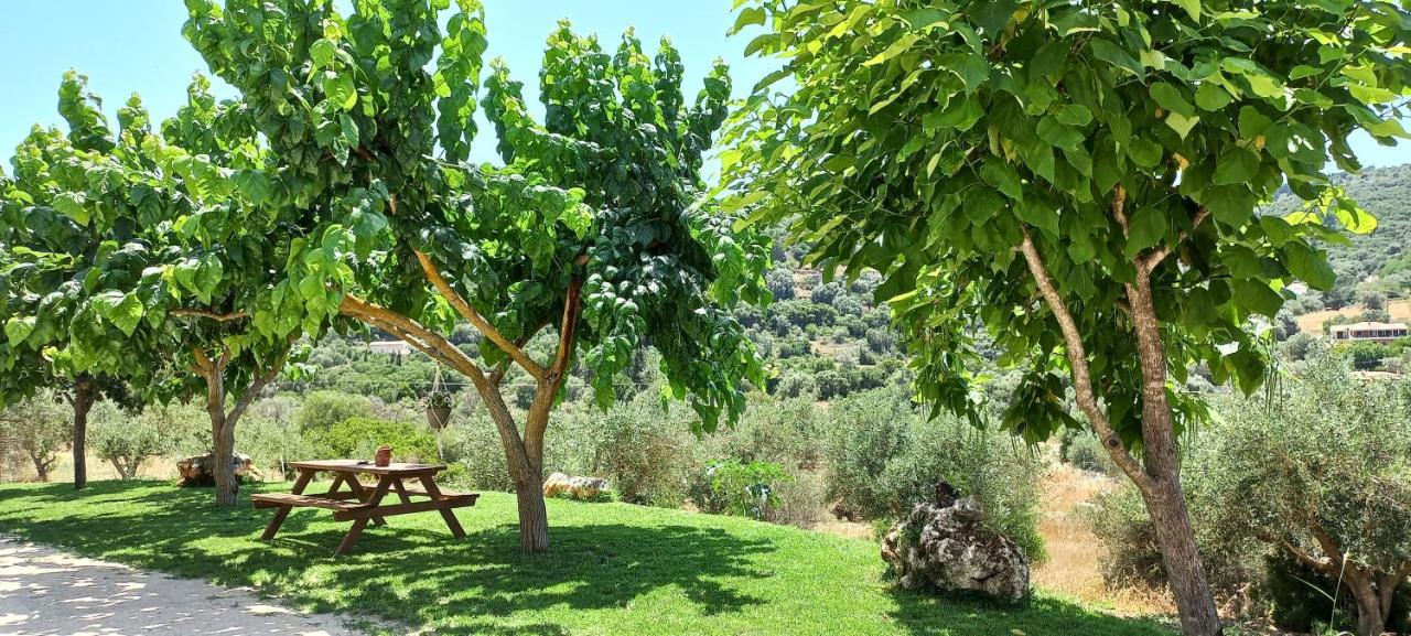 Lily Home_Lefkada ~ Private Country House Kondaraina Экстерьер фото