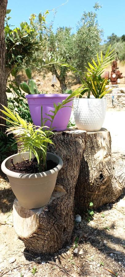 Lily Home_Lefkada ~ Private Country House Kondaraina Экстерьер фото