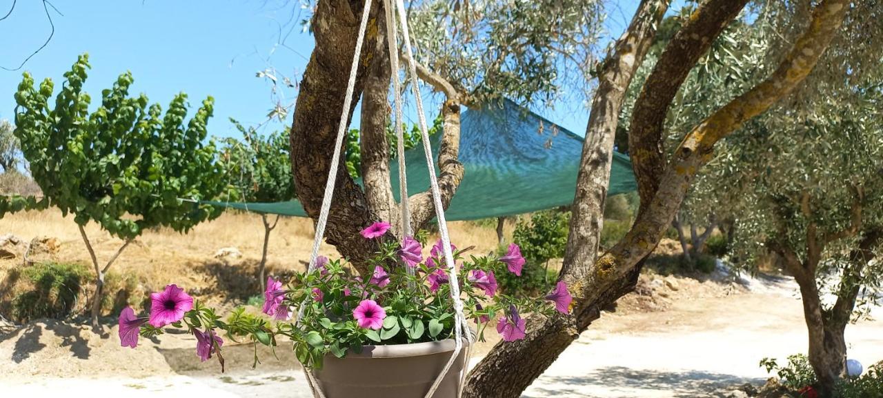 Lily Home_Lefkada ~ Private Country House Kondaraina Экстерьер фото