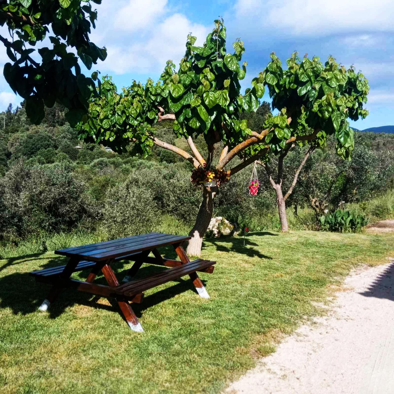 Lily Home_Lefkada ~ Private Country House Kondaraina Экстерьер фото