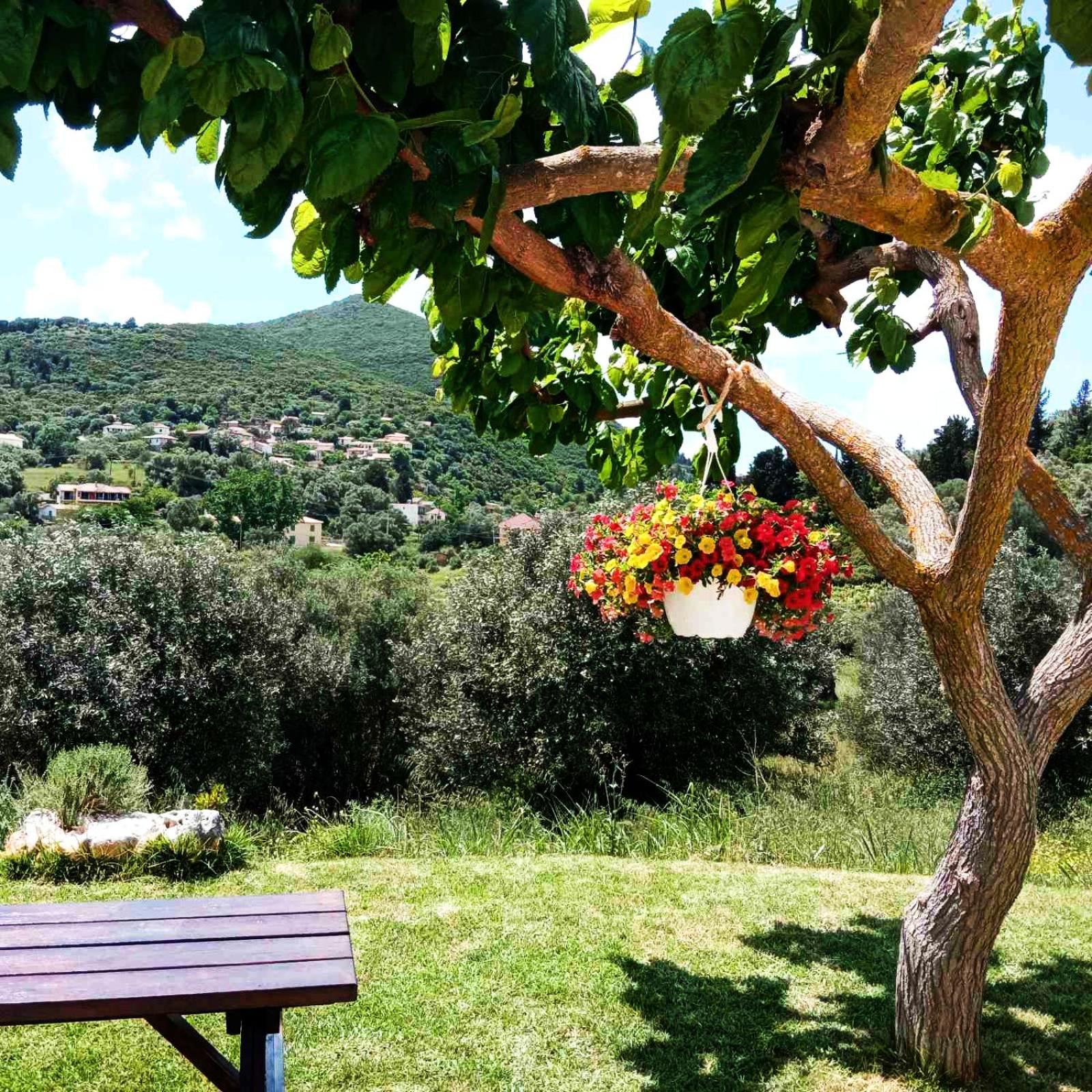 Lily Home_Lefkada ~ Private Country House Kondaraina Экстерьер фото